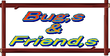 ☆BUGS & FRIENDS☆