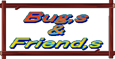 BUGS & FRIENDS