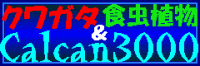 クワガタ & 食虫植物