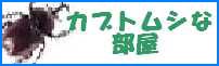 カブトムシな部屋