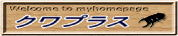 クワプラス