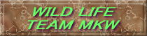 WILD LIFE ・「 TEAM MKW 」